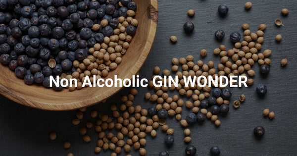 Non Alcoholic GIN WONDERブランドサイト公開のお知らせ